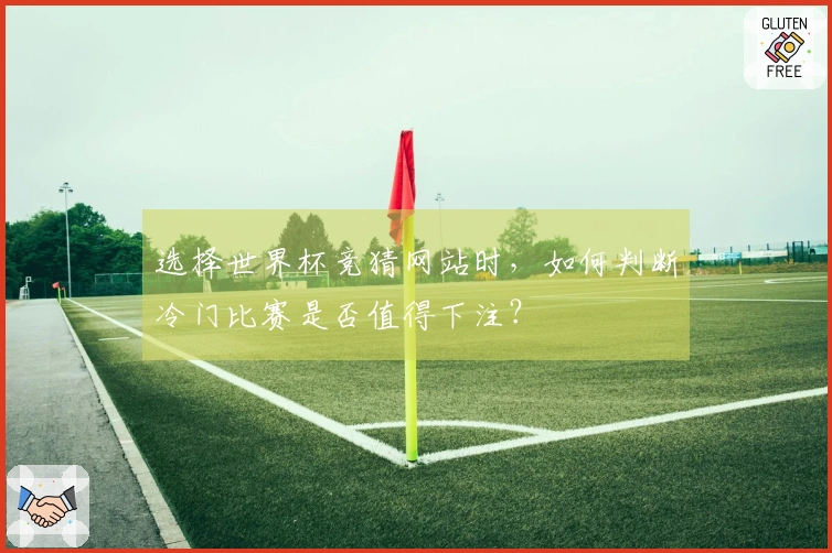选择世界杯竞猜网站时，如何判断冷门比赛是否值得下注？