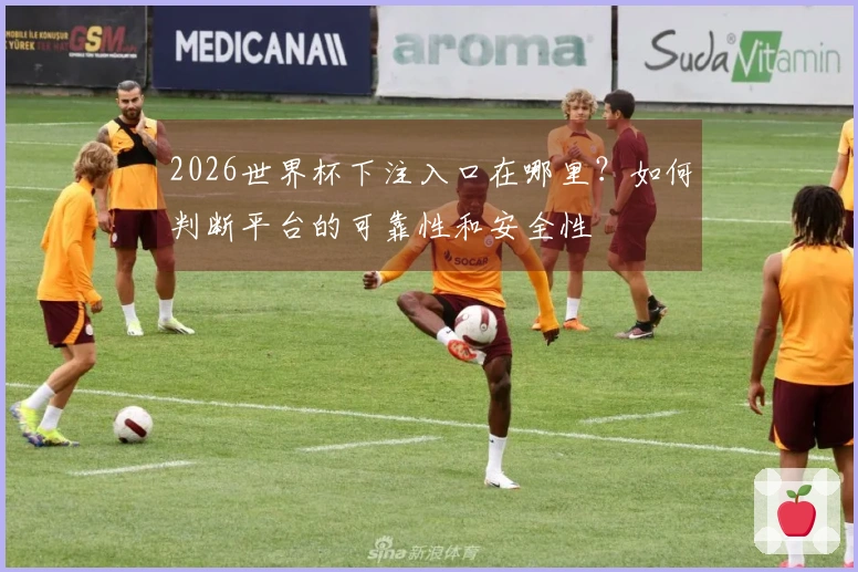 2026世界杯下注入口在哪里？如何判断平台的可靠性和安全性