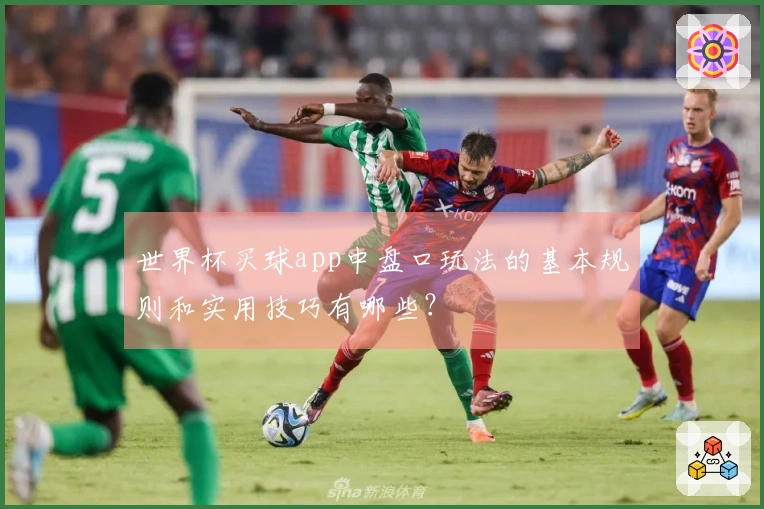 世界杯买球app中盘口玩法的基本规则和实用技巧有哪些？