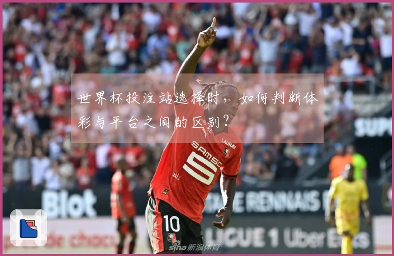 世界杯投注站选择时，如何判断体彩与平台之间的区别？