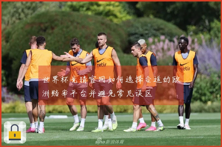 世界杯竞猜官网如何选择合适的欧洲赔率平台并避免常见误区