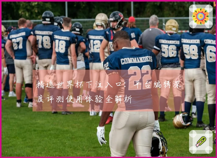 精选世界杯下注入口:平台编辑深度评测使用体验全解析