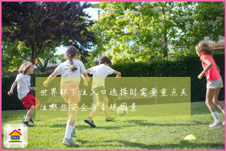世界杯下注入口选择时需要重点关注哪些安全与合规因素