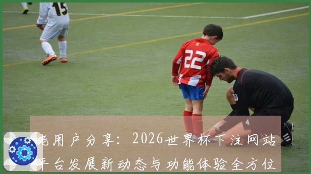 老用户分享:2026世界杯下注网站平台发展新动态与功能体验全方位解读