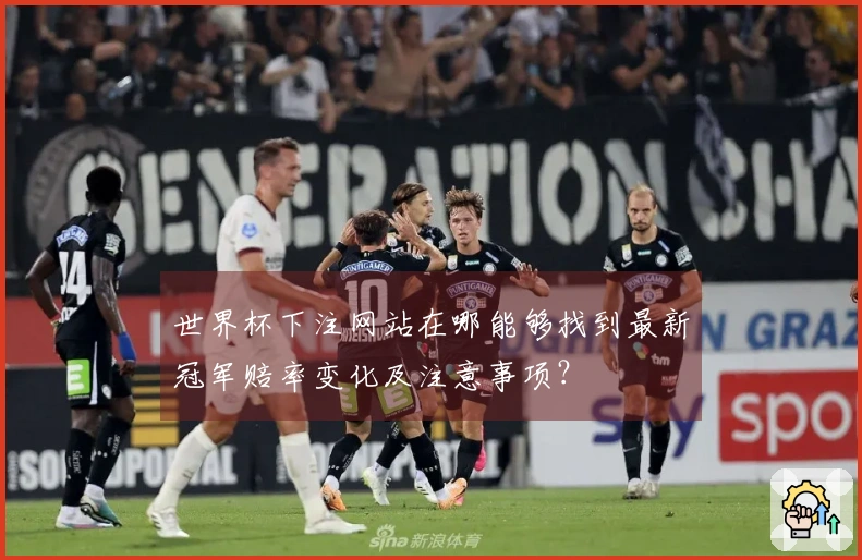 世界杯下注网站在哪能够找到最新冠军赔率变化及注意事项？