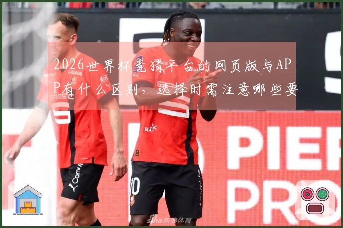 2026世界杯竞猜平台的网页版与APP有什么区别，选择时需注意哪些要点？