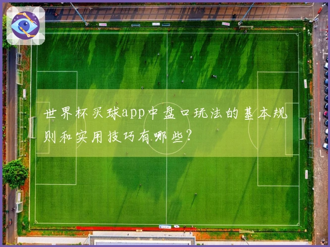 世界杯买球app中盘口玩法的基本规则和实用技巧有哪些？