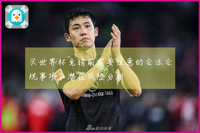 买世界杯竞猜前需要注意的合法合规事项和潜在风险分析