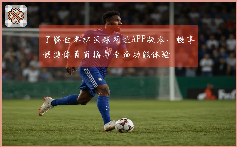 了解世界杯买球网址APP版本，畅享便捷体育直播与全面功能体验