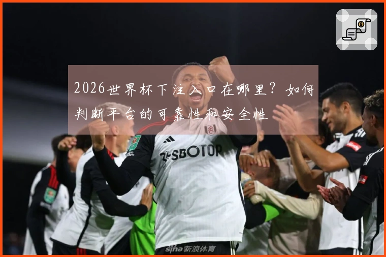 2026世界杯下注入口在哪里？如何判断平台的可靠性和安全性