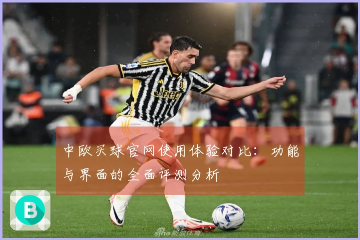 中欧买球官网使用体验对比：功能与界面的全面评测分析