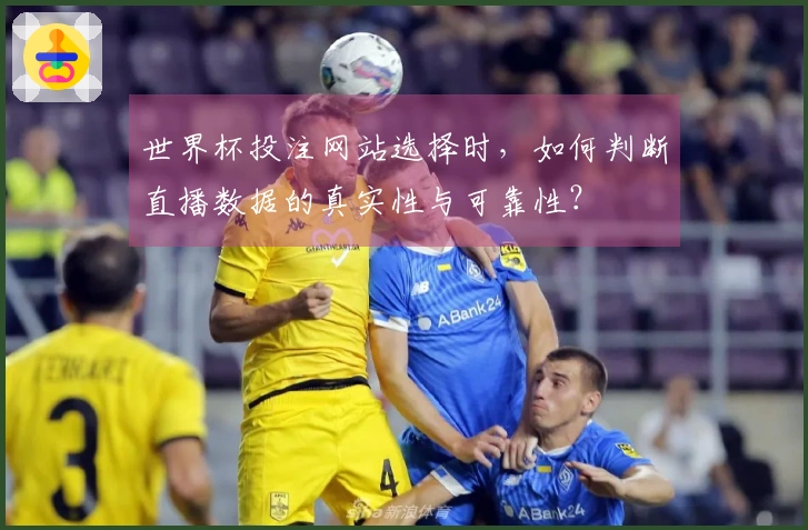 世界杯投注网站选择时，如何判断直播数据的真实性与可靠性？