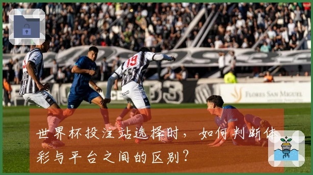 世界杯投注站选择时，如何判断体彩与平台之间的区别？