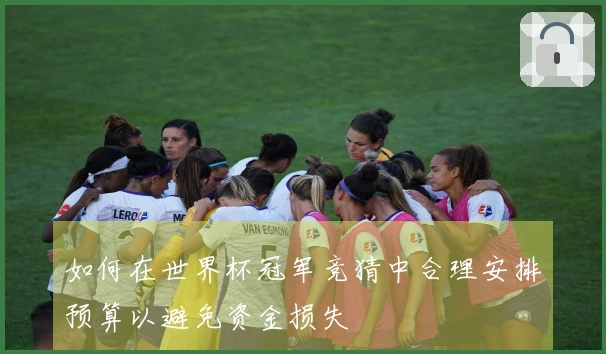 如何在世界杯冠军竞猜中合理安排预算以避免资金损失